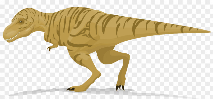 Dinosaur Tyrannosaurus Subaru Rex Velociraptor Wikipedia PNG