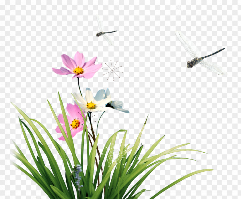Dragonfly With Flowers Floral Design Flower Icon PNG