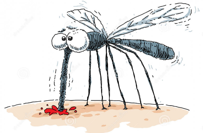 Lifebuoy Mosquito Cartoon Royalty-free Animal Bite Clip Art PNG