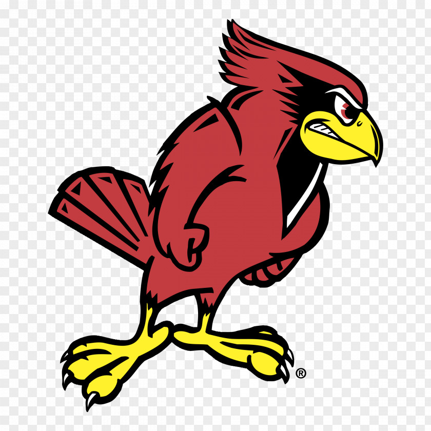 School Illinois State University Redbirds Football Men's Basketball Reggie Redbird PNG