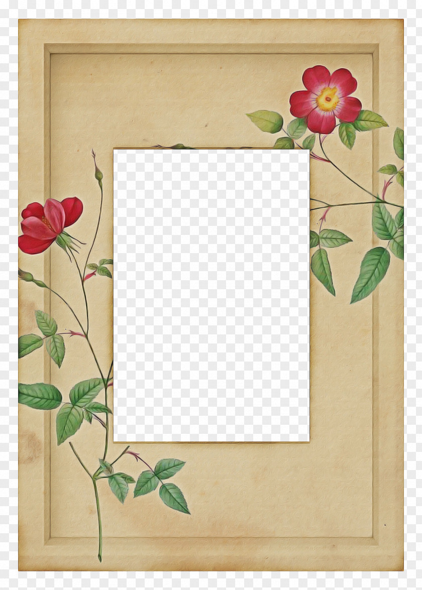 Wildflower Interior Design Background Flower Frame PNG
