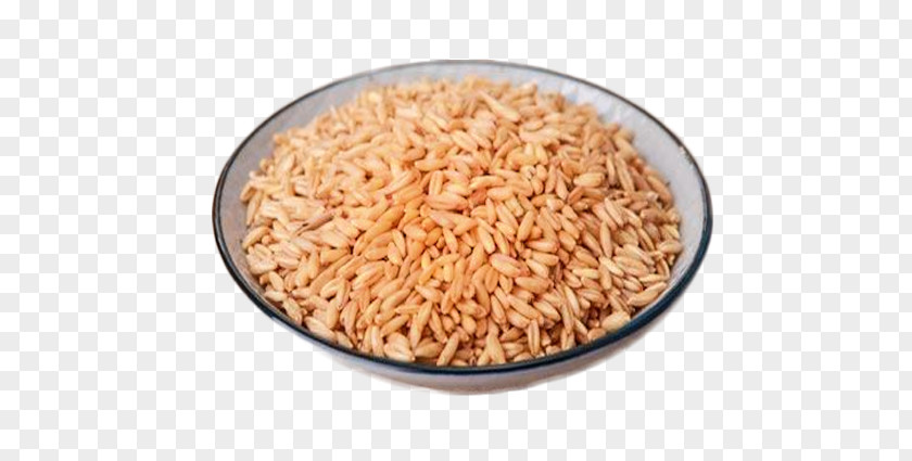 Yan Pearl Barley Bowl Stock Image Congee Milk Oat Rice Food PNG