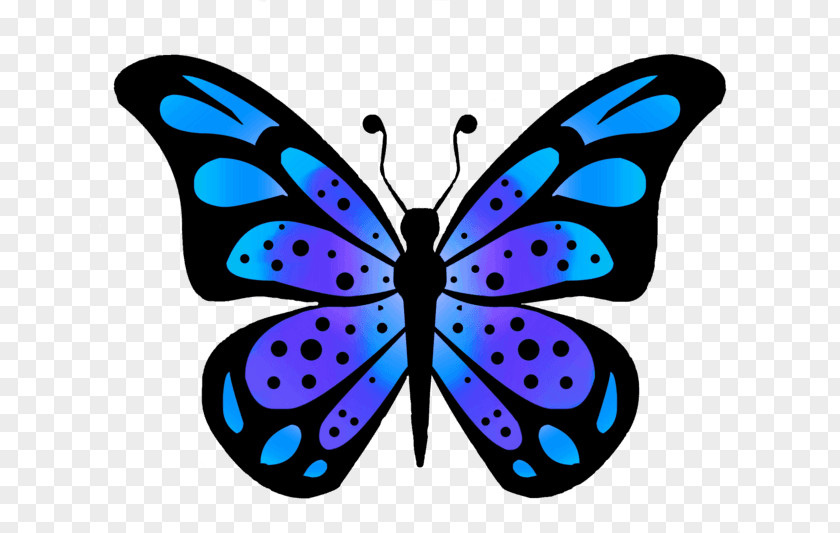 Butterfly Clip Art Openclipart Free Content PNG