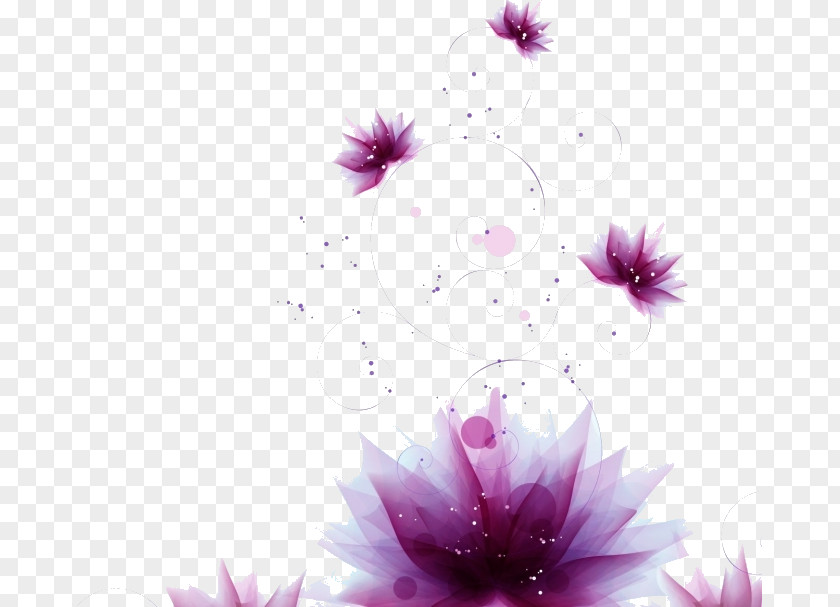 Flower Desktop Wallpaper Image IPhone Display Resolution PNG