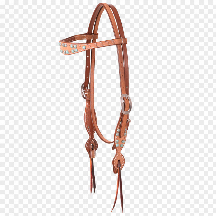 Rope Border Bridle Turquoise Horse Tack Rein Halter PNG