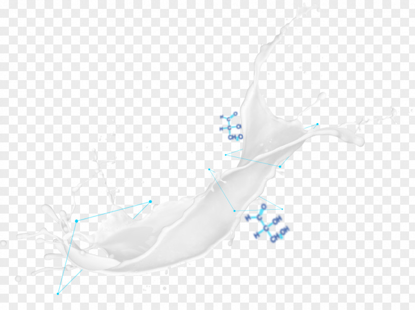 Splash Milk Marine Mammal Water PNG