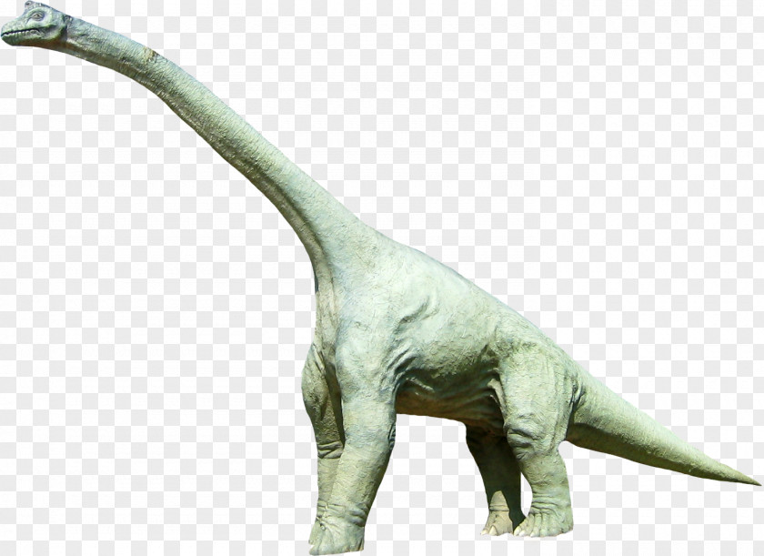 Dinosaur Tyrannosaurus Jurassic PNG