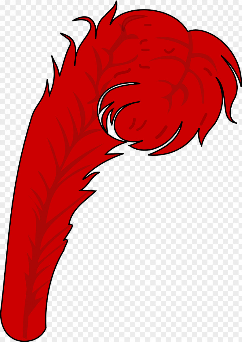 Feather Bird Red Coat Clip Art PNG