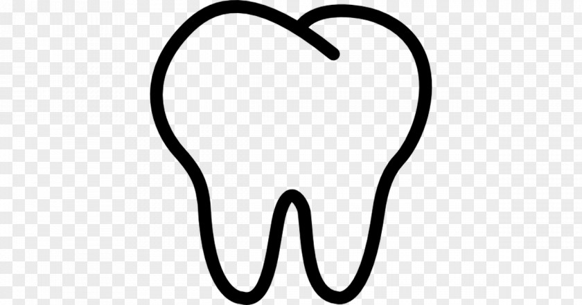 Us Tooth Clipart Human Clip Art PNG
