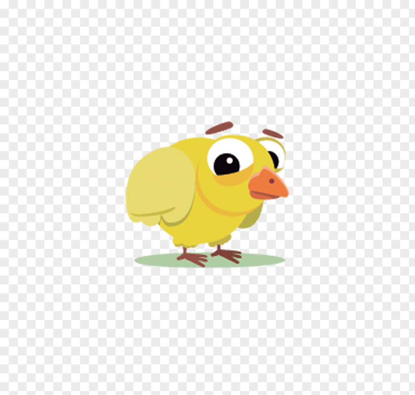 Chick Bird Chicken Cartoon PNG
