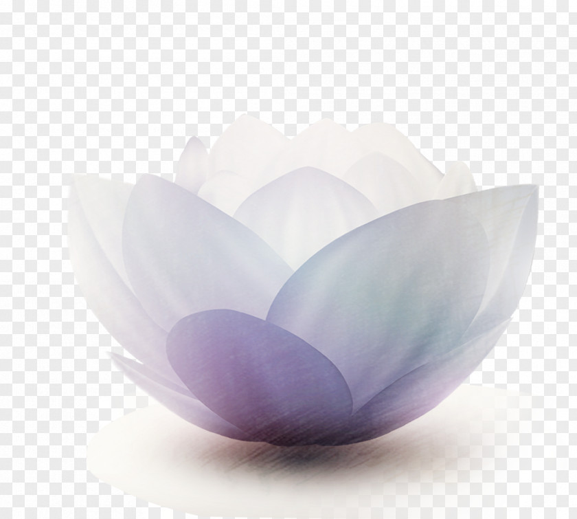 Fantasy Flowers Glass Tableware Vase Petal PNG