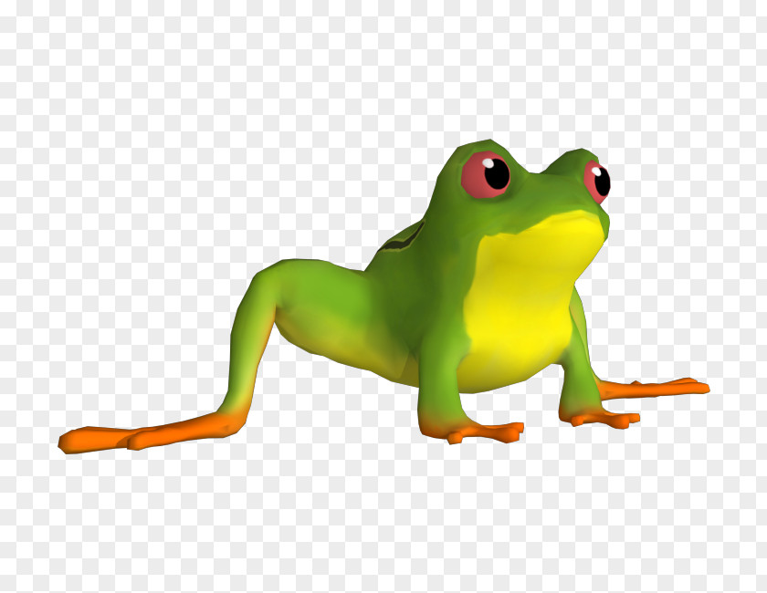 Frogger Ornament True Frog Toad Tree Clip Art PNG