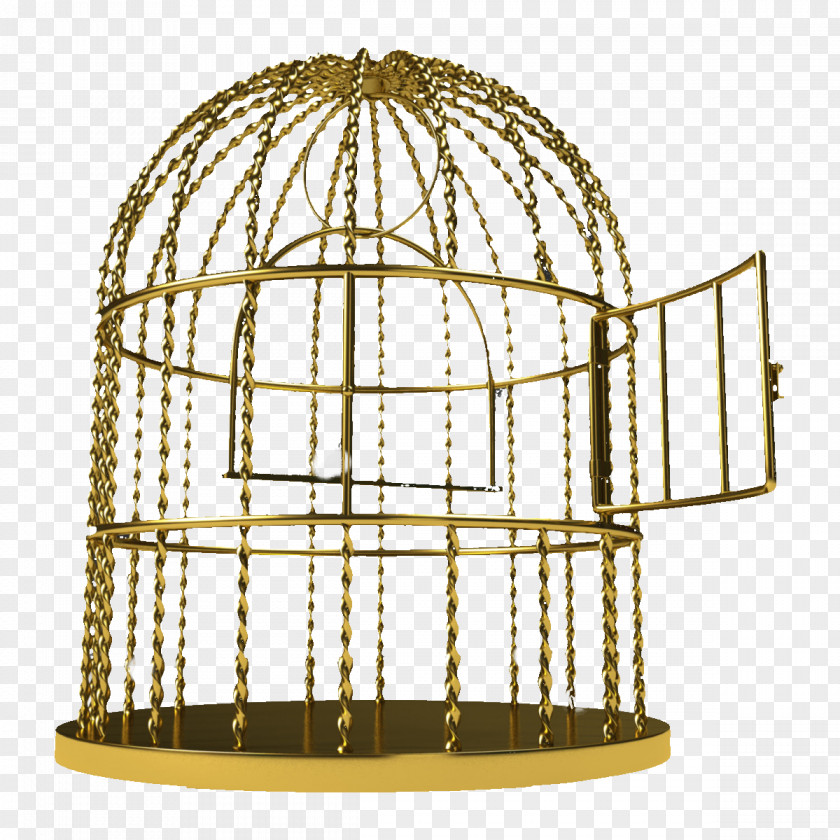 Golden Pattern Iron Cage Birdcage PNG