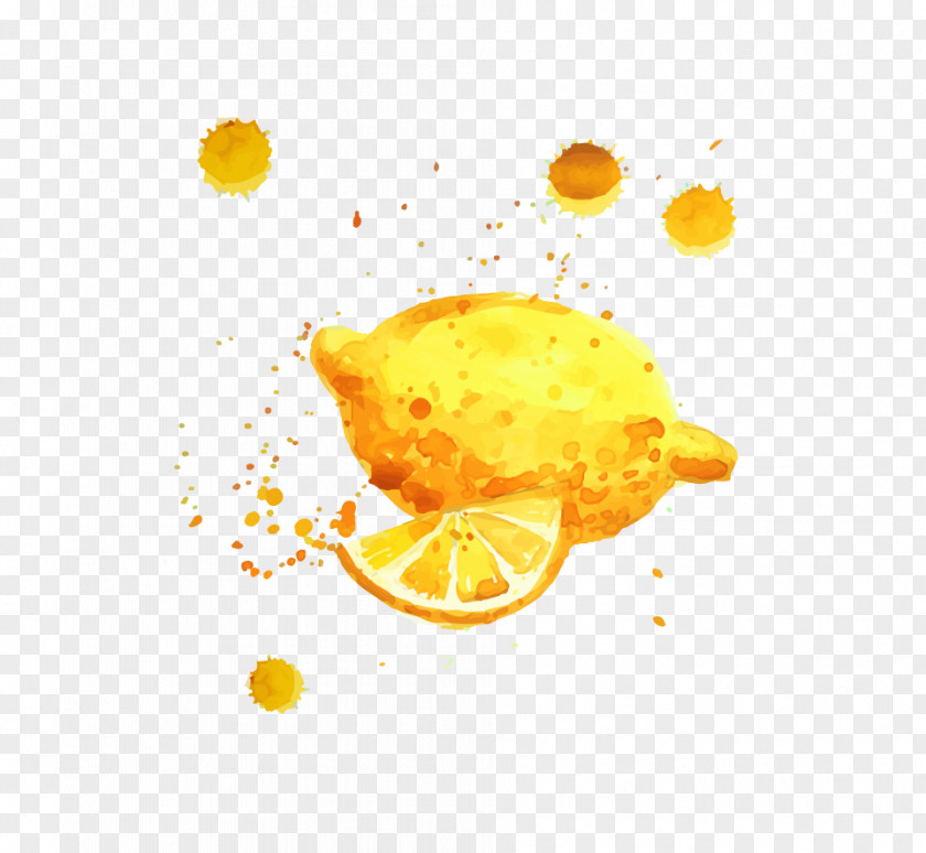 Lemon Auglis Download PNG