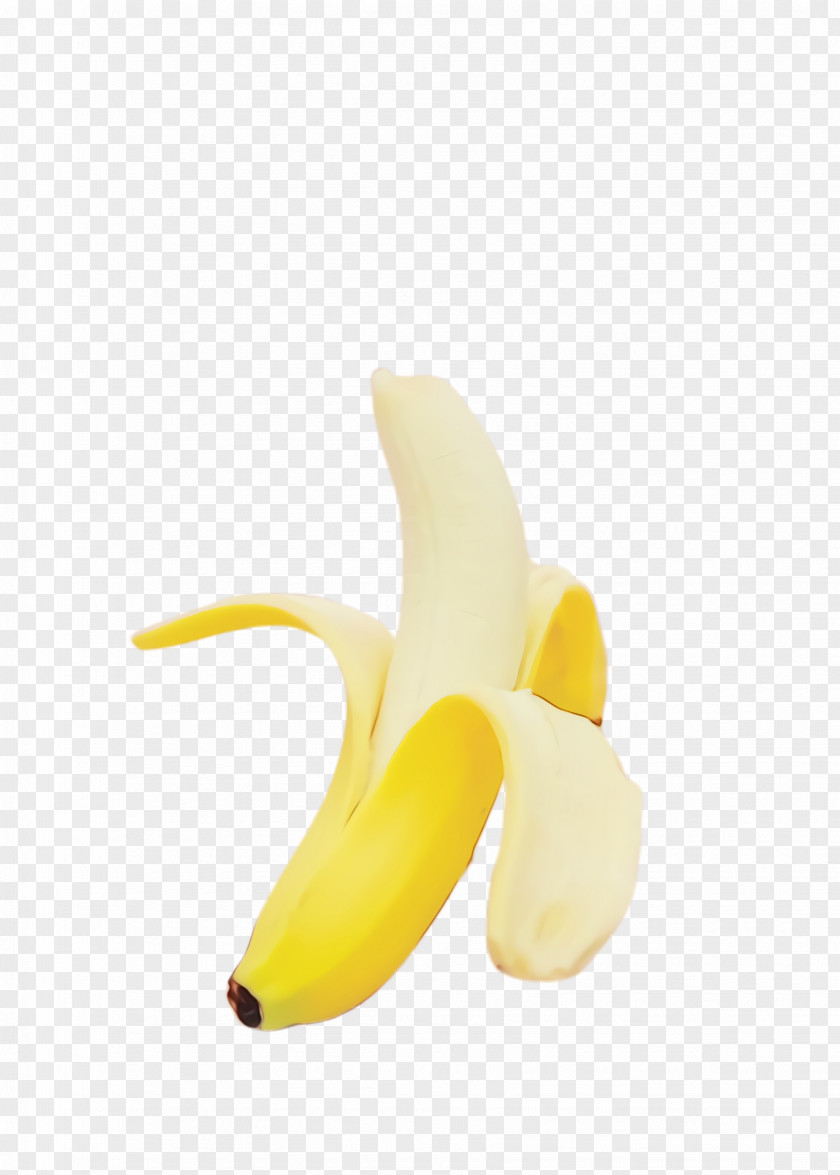 Arum Family Food Banana Yellow Plant Fruit PNG