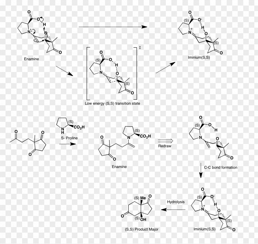 Drawing /m/02csf Paper Point White PNG