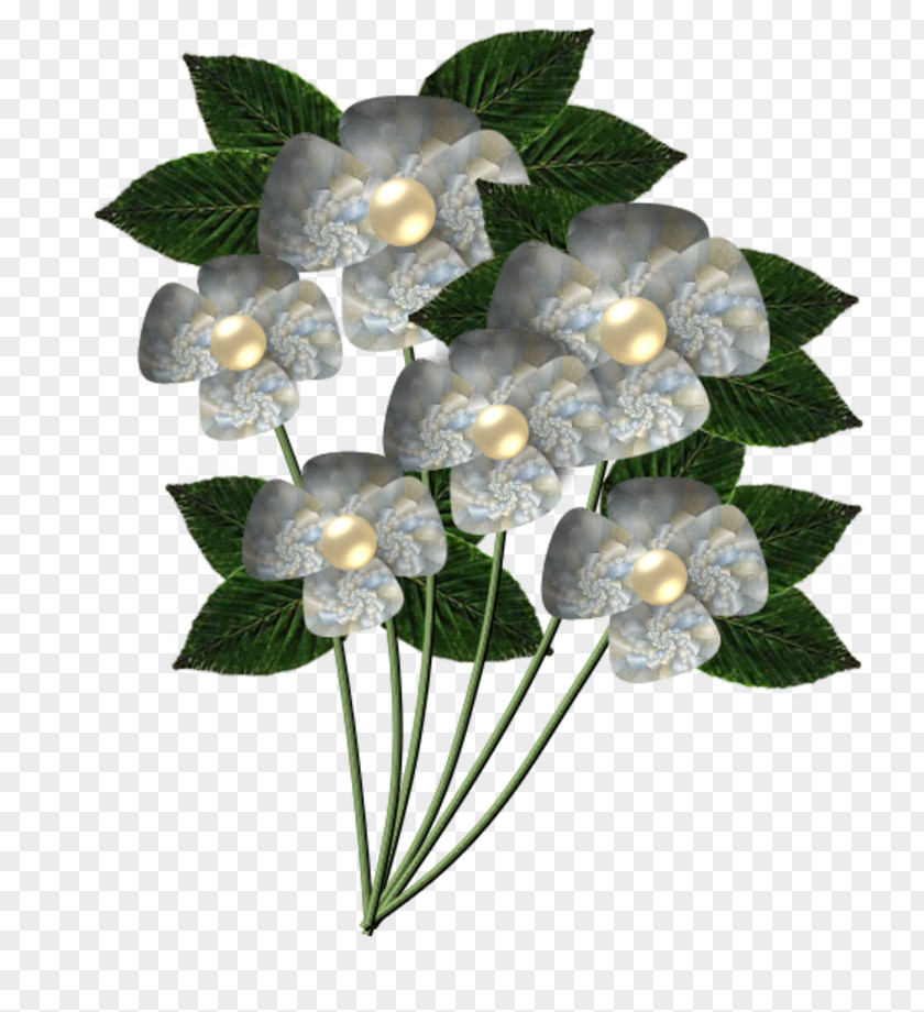 Flower Cut Flowers Blume PNG