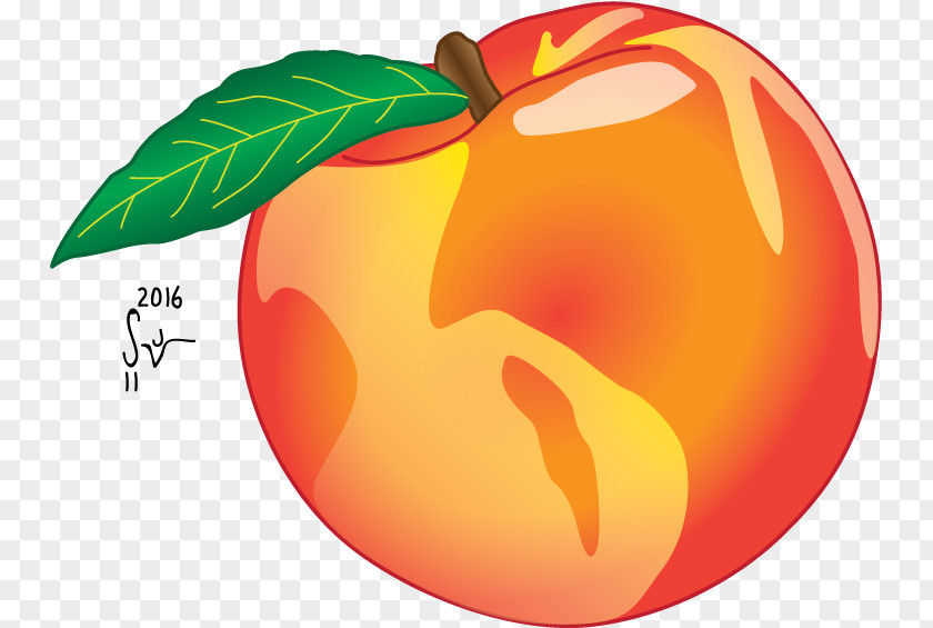 Peach Logo Title Sequence CBS Clip Art PNG
