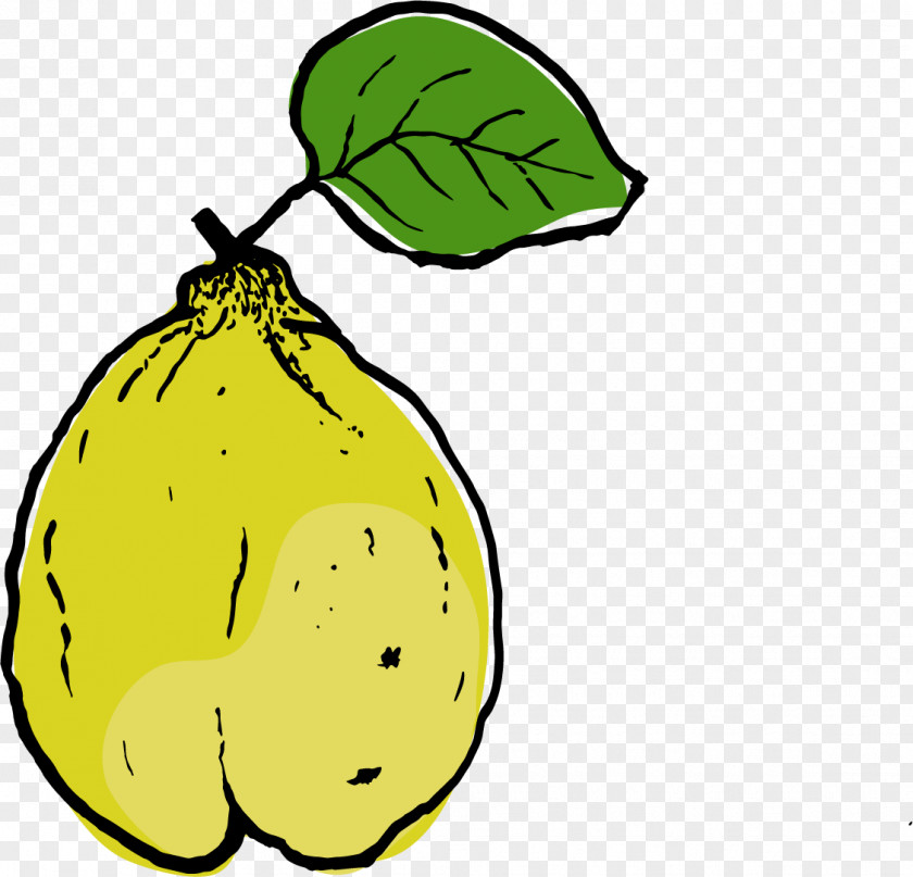 Pear Autumn Food Leaf Clip Art PNG