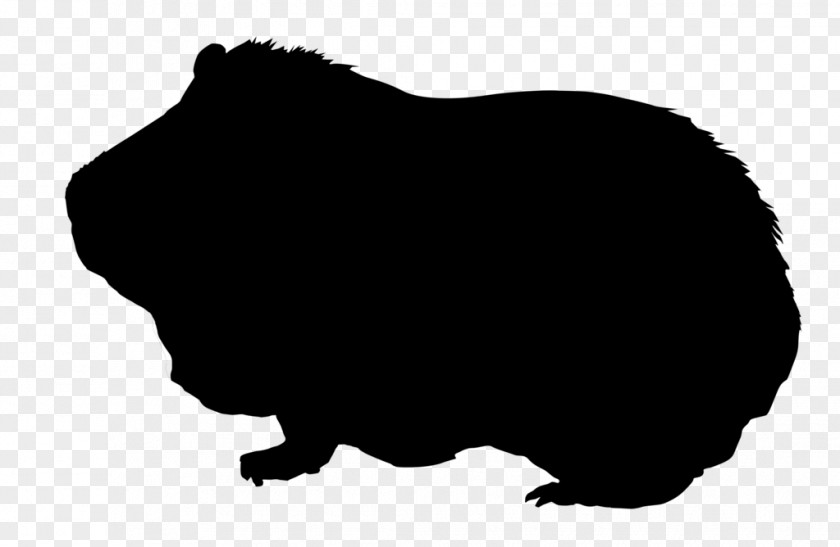 Pig Guinea Silhouette Drawing Clip Art PNG