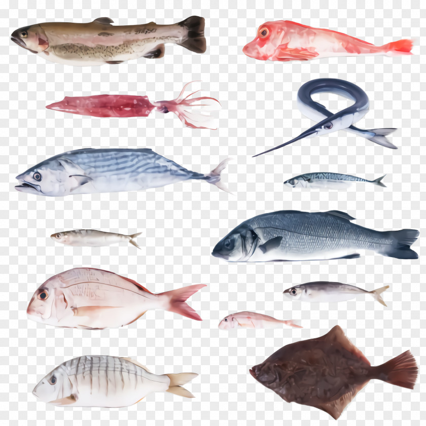 Bass Bonyfish Fish Products Tilapia Snapper PNG