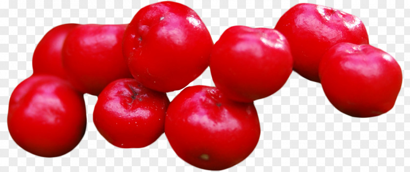 Cranberries Cranberry PNG