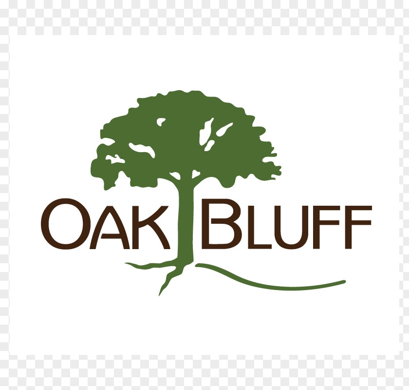 Oak Bluff On Green Mountain Road Southeast South Trail Michelle Omenski PNG