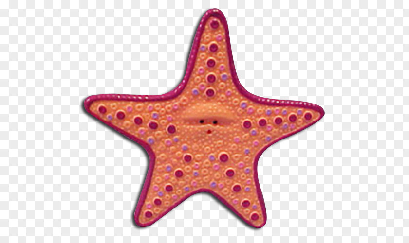 Real Starfish Peach Nemo Gurgle PNG