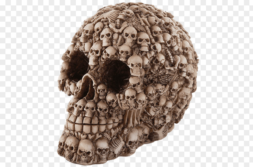 Skull Jewish Skeleton Collection Ossuary Collectable PNG