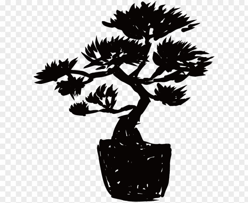 Bonsai Flowerpot Pine Silhouette Turtle PNG