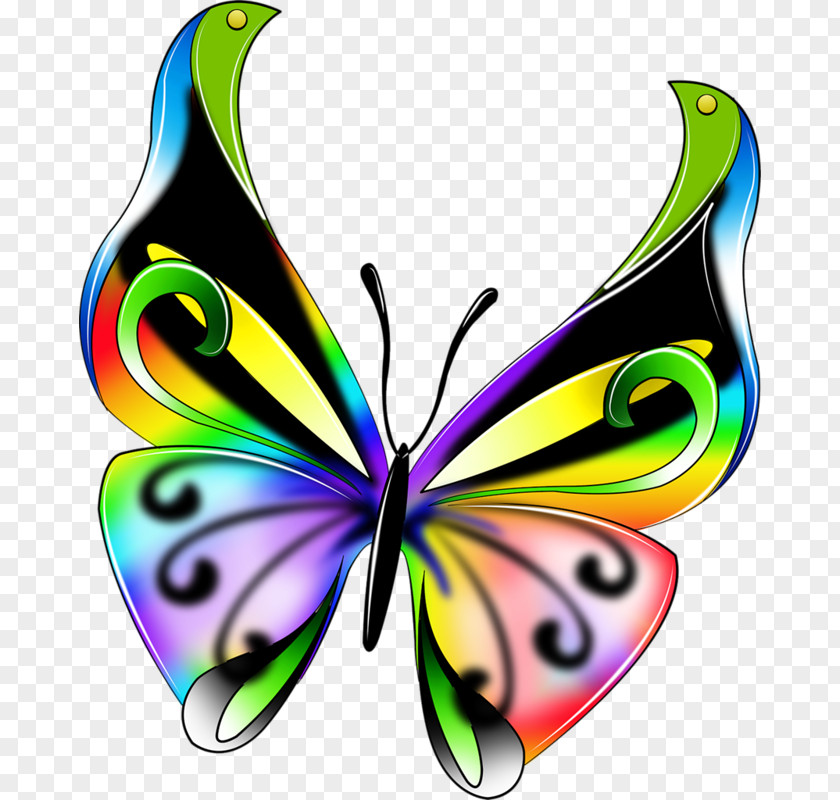 Butterfly Insect Color Drawing Clip Art PNG
