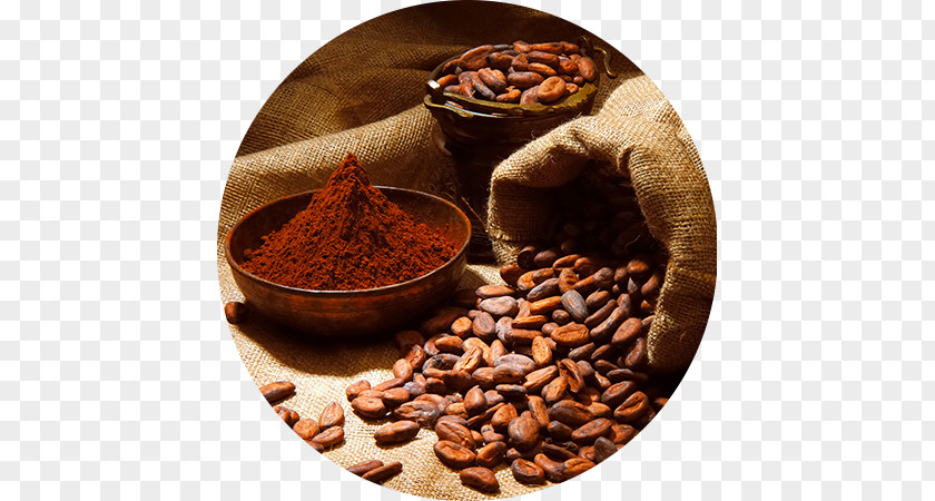 Chocolate Cocoa Bean Solids Dutch Process Theobroma Cacao PNG