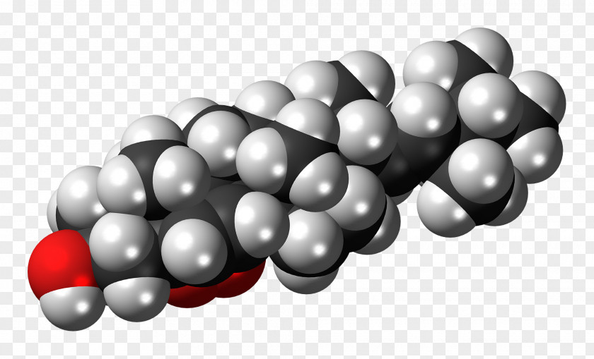 Ergosterol Cholesterol Lipid Phenanthrene Methyl Group PNG
