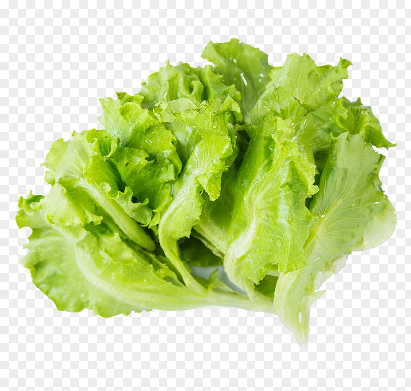 Free Creative Pull Lettuce Hot Pot Iceberg Leaf Vegetable Grow Light PNG