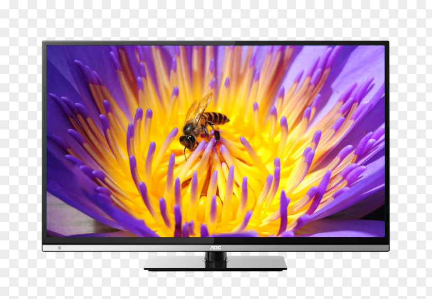 Hd Lcd Tv LED-backlit LCD AOC International Television Set Liquid-crystal Display Backlight PNG