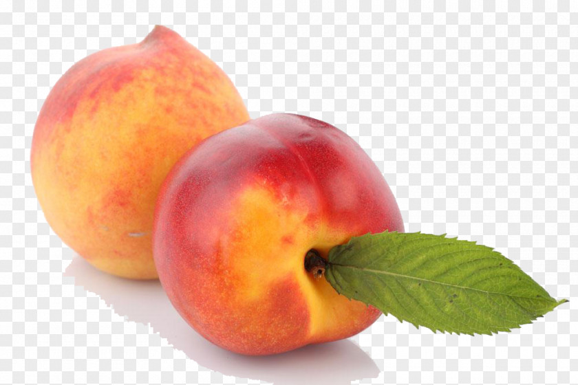 Nectarines And Peaches Nectarine Eating Food Fruit U674eu5b50 PNG