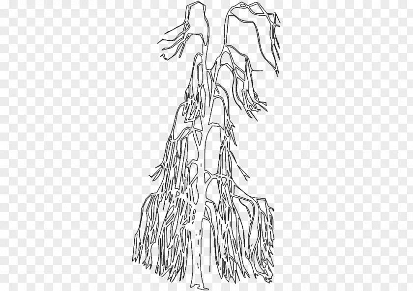 Tree Front Figure Drawing Line Art Mammal Sketch PNG