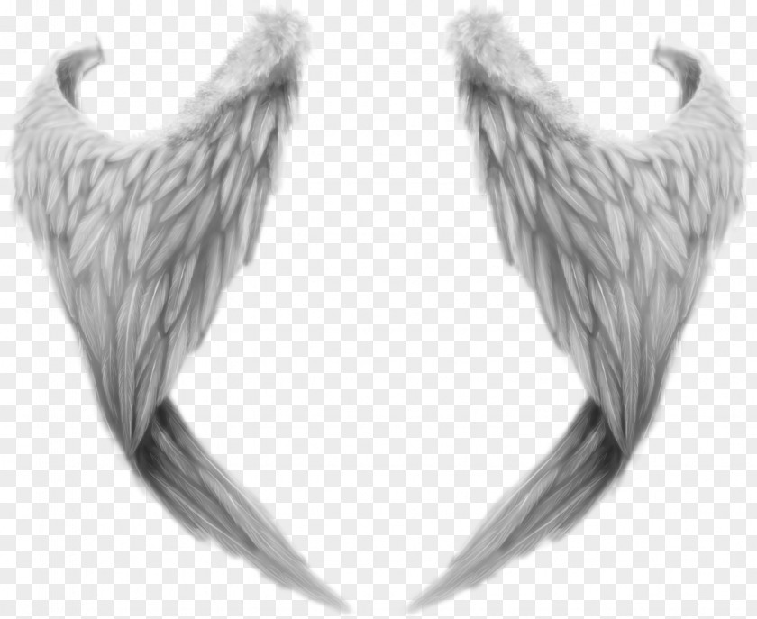 Wings Clip Art PNG
