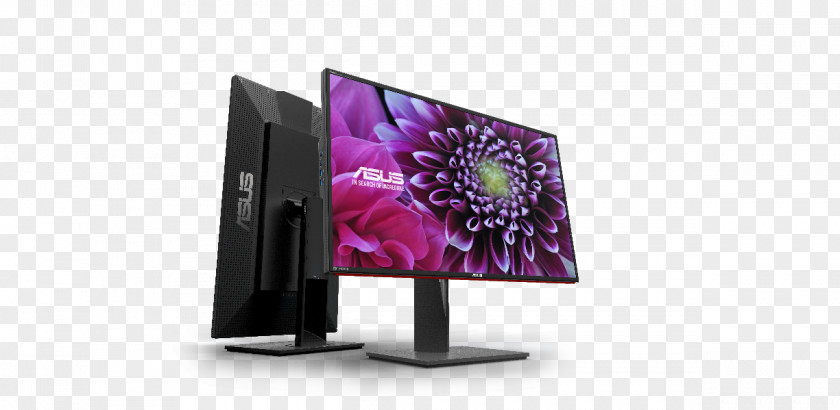 Asus Pa328q 4K Resolution 华硕 Computer Monitors Ultra-high-definition Television ASUS PNG