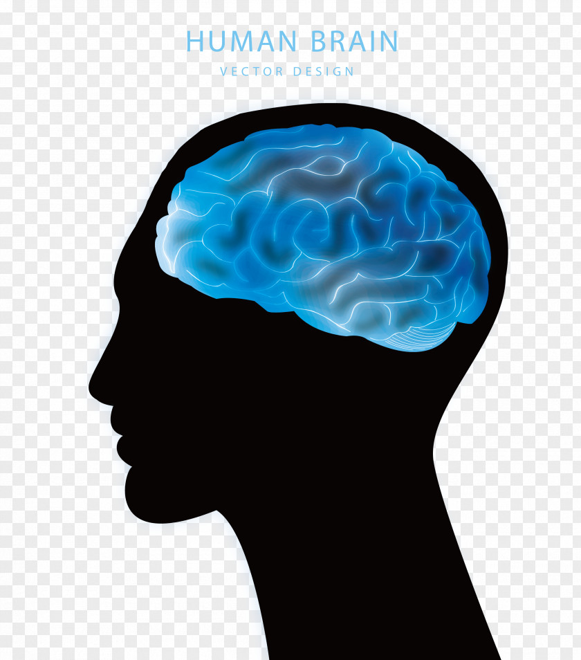 Brain Vector Blue Project Agy Euclidean PNG