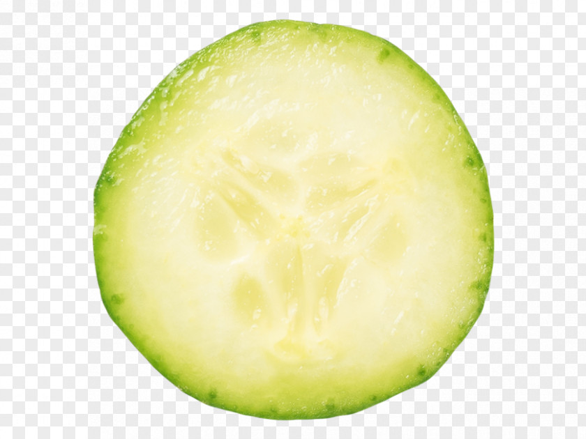 Cucumber Fruit Melon PNG