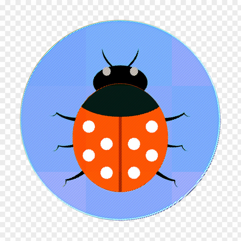 Ladybug Icon Modern Education Bug PNG