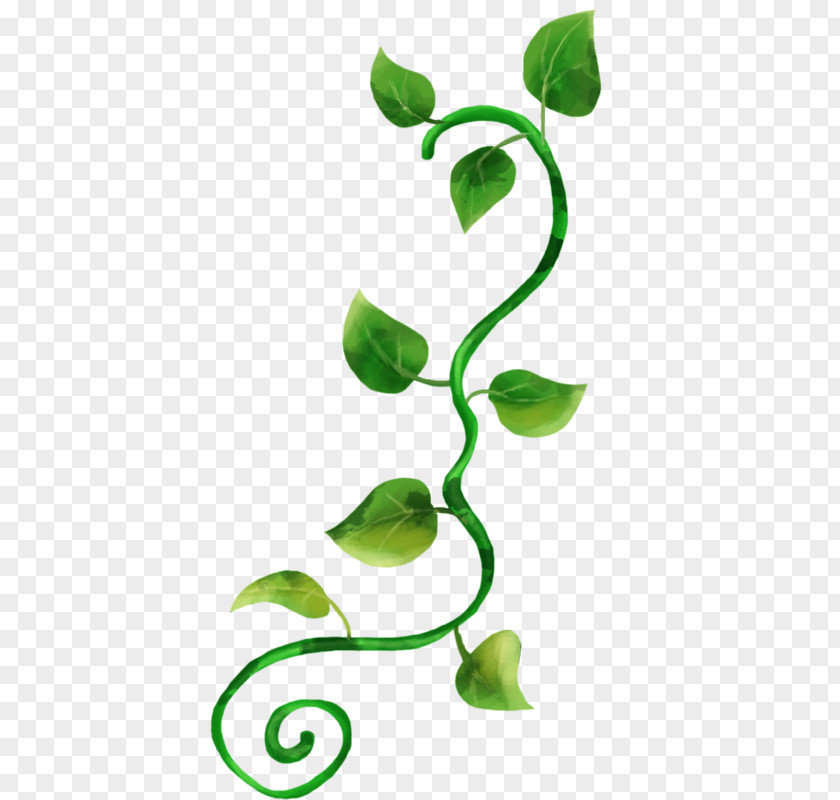 Leaf Product Design Clip Art Green Plant Stem PNG