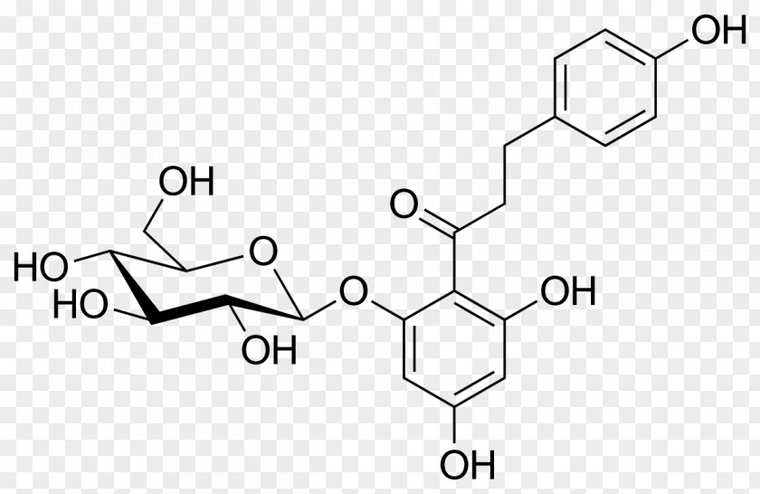 Number 20 Phlorizin Medicinal Plants SGLT2 Chemical Substance Broadleaf Plantain PNG