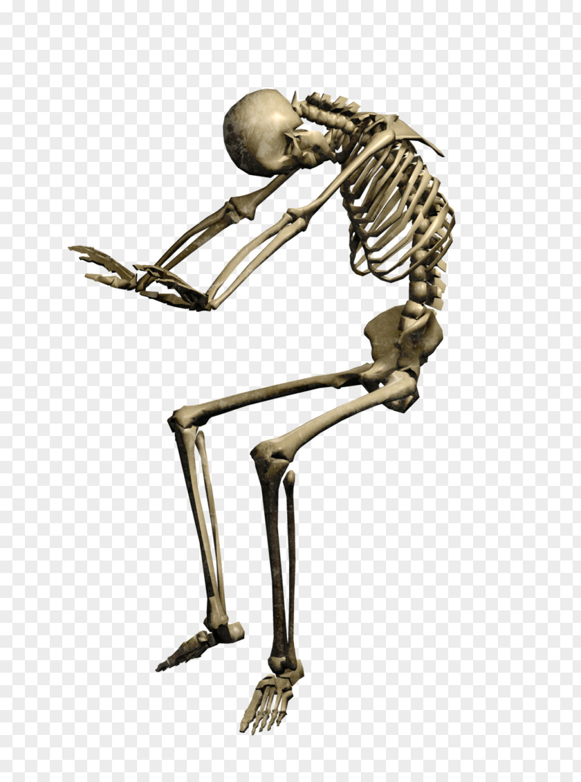 Omen Human Illustration DeviantArt Skeleton Photograph PNG