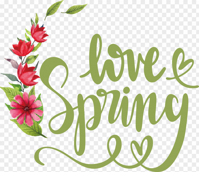 Floral Design PNG