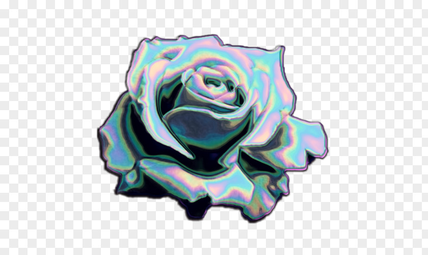 Holography Garden Roses Rainbow Rose Tumblr Blog PNG