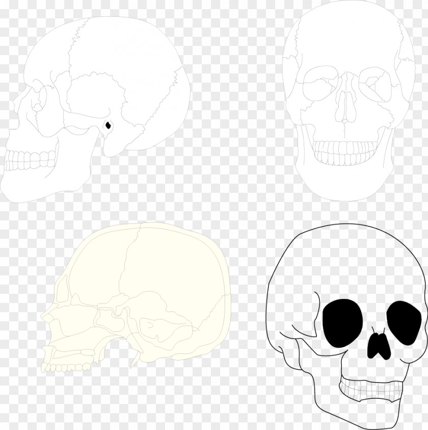 Human Skull Nose Black And White Pattern PNG