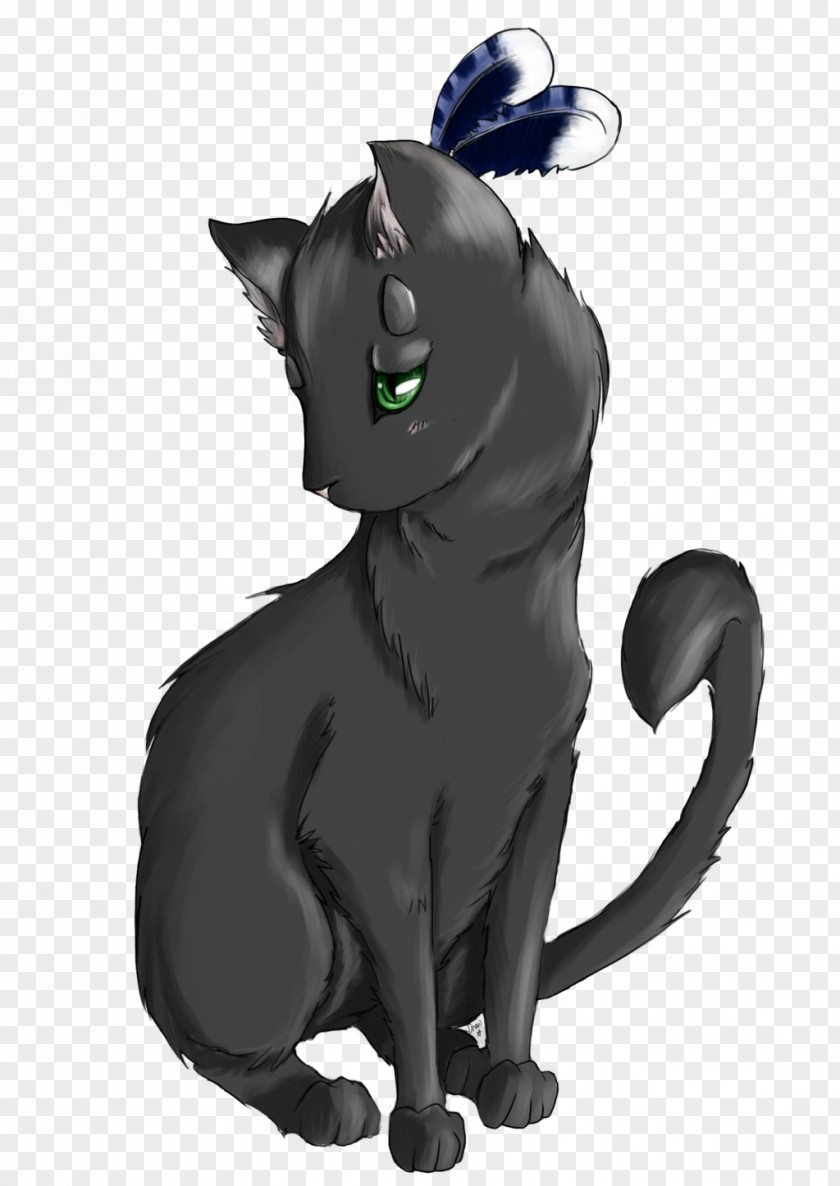 Kitten Korat Black Cat Whiskers Horse PNG