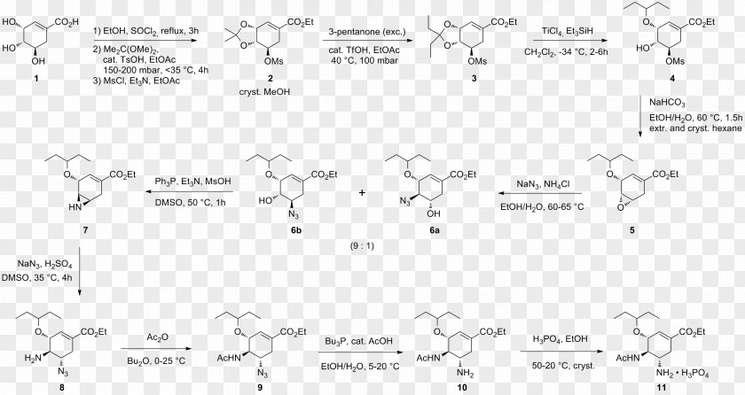 Shikimic Acid Oseltamivir Total Synthesis PNG